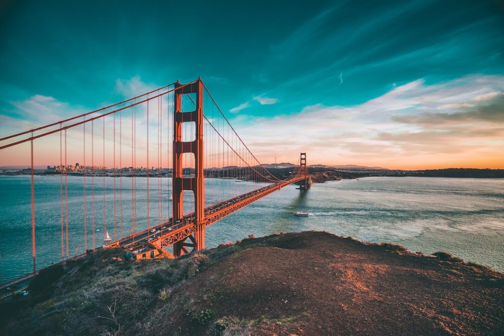 Photo wix website pricing