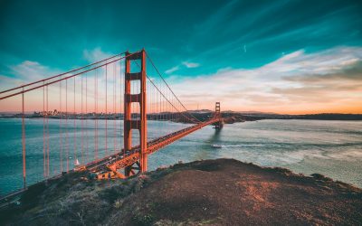Finding the Right Wix Website Pricing